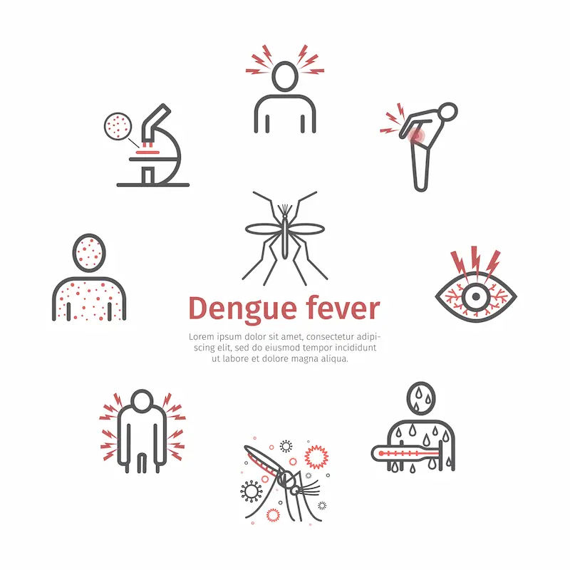 Diet for Dengue Fever A Complete Nutritional Guide